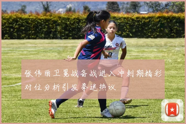 张伟丽卫冕战备战进入冲刺期精彩对位分析引发拳迷热议