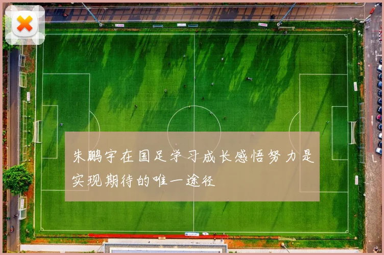 朱鹏宇在国足学习成长感悟努力是实现期待的唯一途径